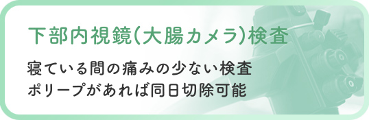 下部内視鏡(大腸カメラ)検査 寝ている間の痛みの少ない検査・ポリープがあれば同日切除可能