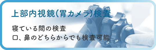 上部内視鏡(胃カメラ)検査 寝ている間の検査・口、鼻のどちらからでも検査可能