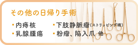 その他の日帰り手術 内痔核・下肢静脈瘤(ストリッピング術)・乳房腫瘤・粉瘤・陥入爪・他